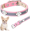 Reflective leather dog collar with metal paw rivet and buckle on a grey background