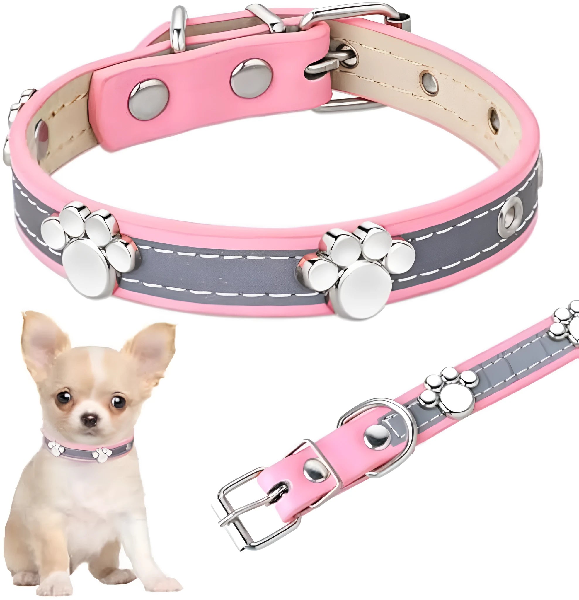 Reflective leather dog collar with metal paw rivet and buckle on a grey background