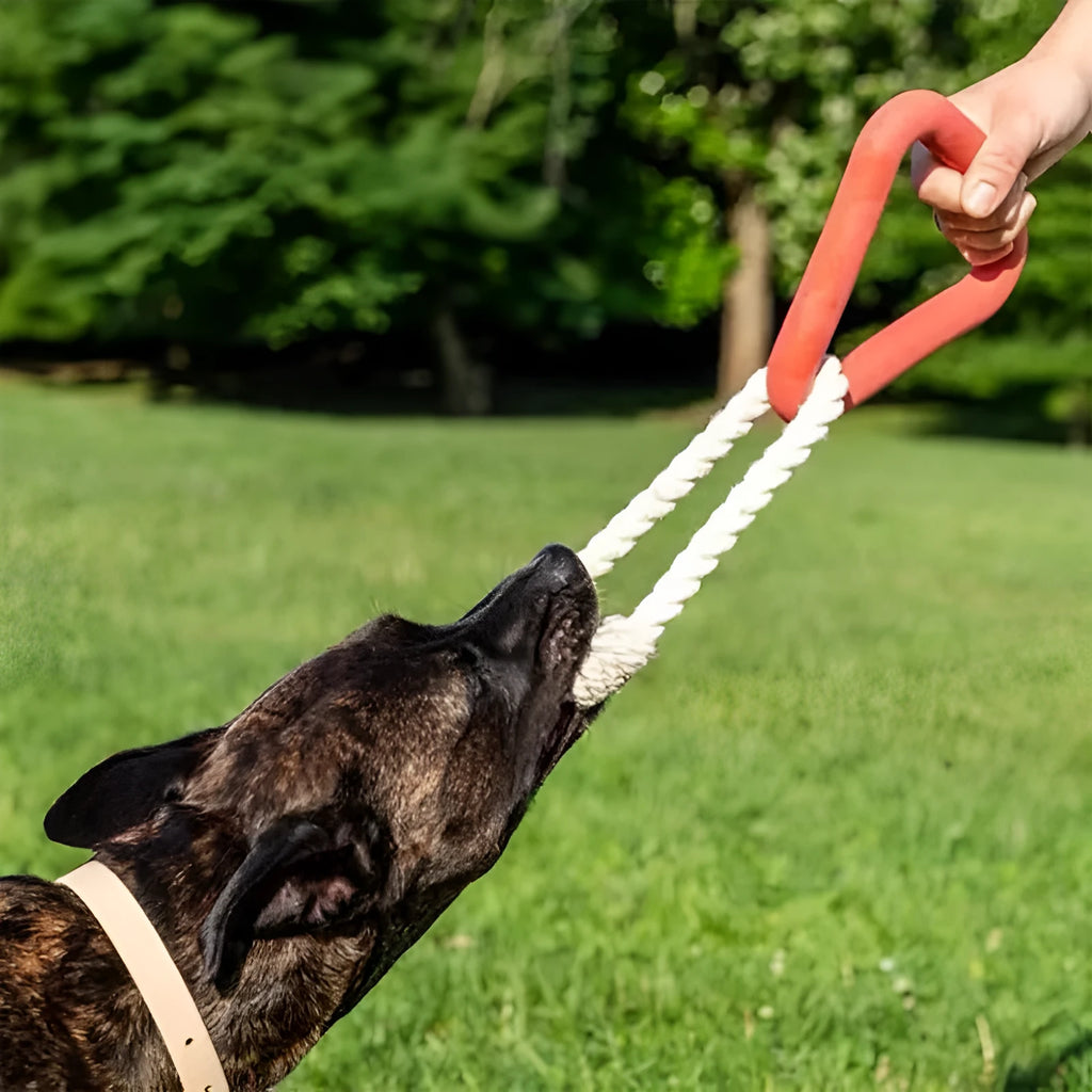 Large triangular dog pull ring toy made from beige cotton rope.