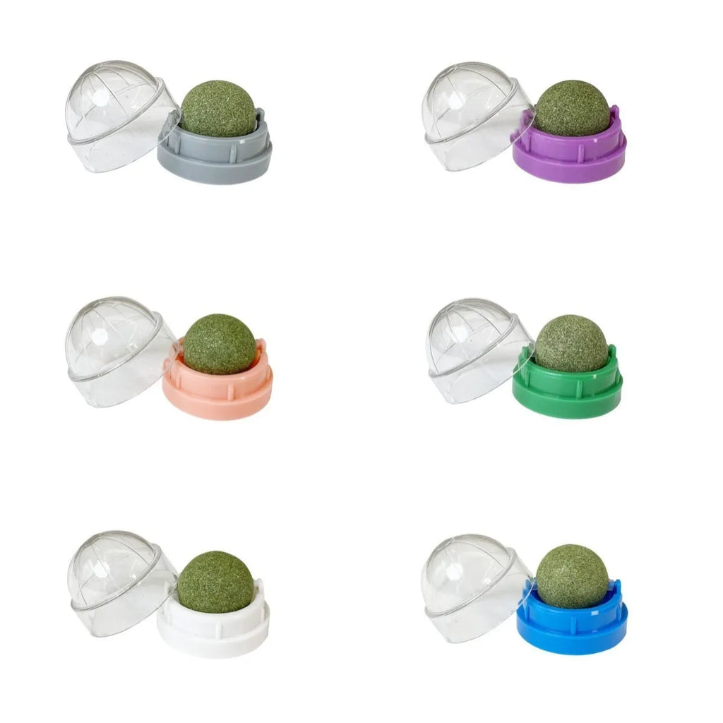 Colourful plastic cat toy ball with textured dental cleaning ridges and catnip infusion