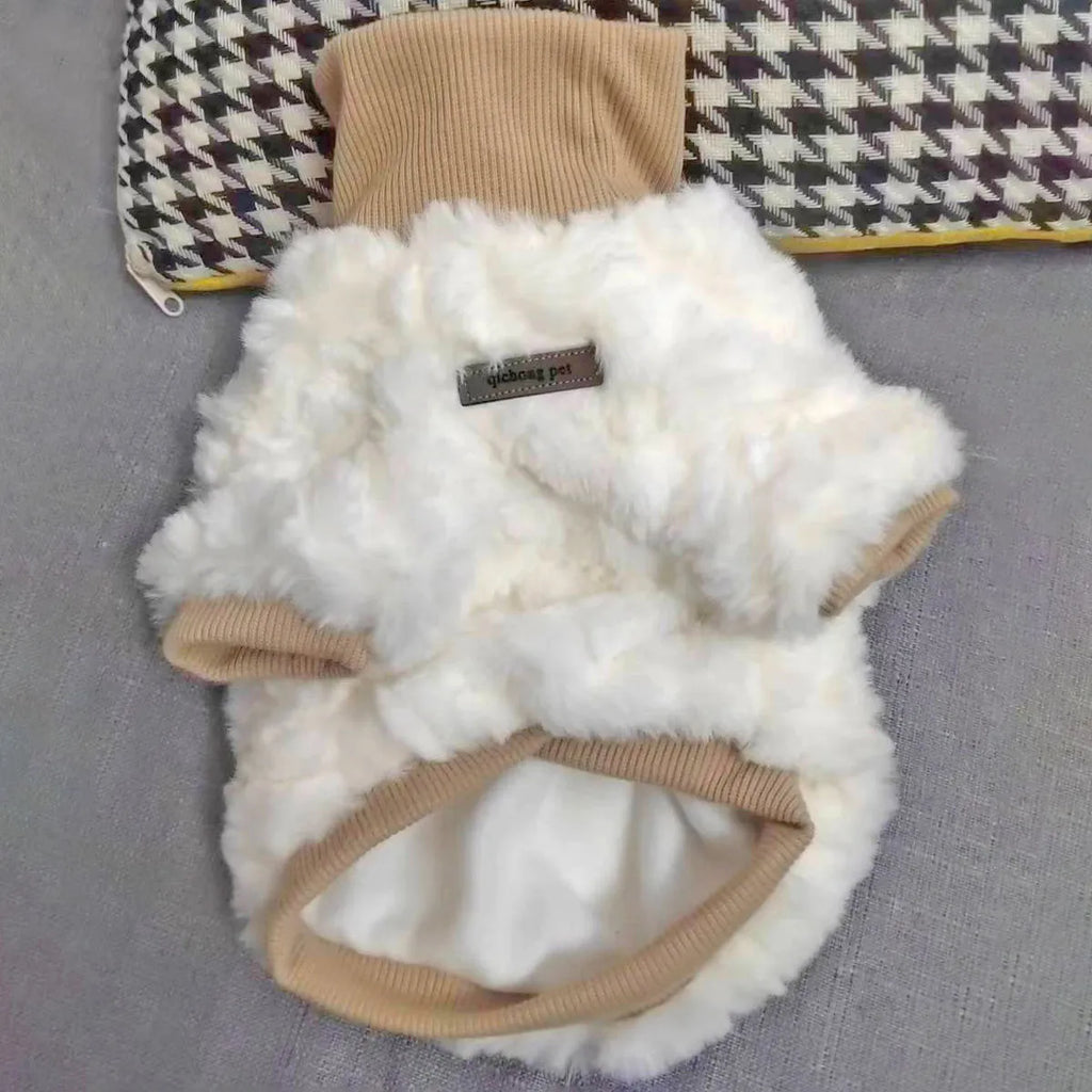Creamy green plush dog coat with high turtleneck collar on a small dog.