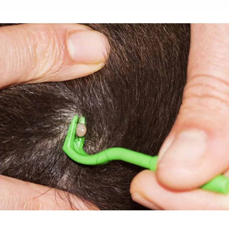 Three blue plastic tick removal hook tools for dogs and cats on a white background.