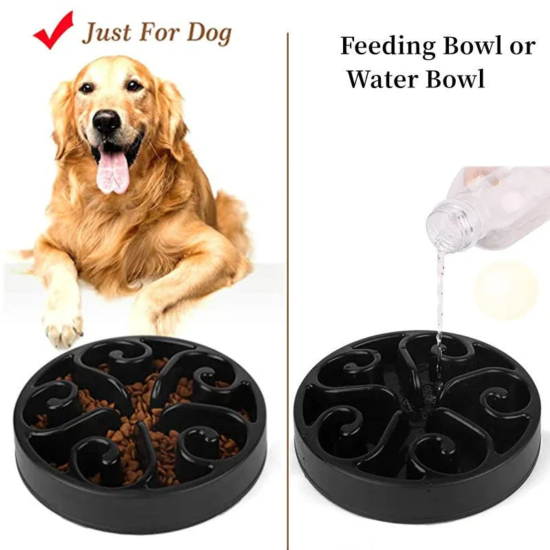 A coloured slow feeder dog bowl with a maze pattern design and a wide non-slip base.