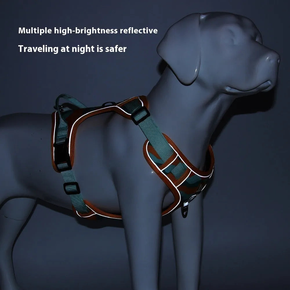 Reflective orange dog walking rope with chest and back harness held in hand