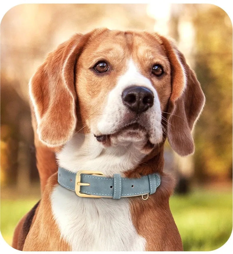 A brown double-layer leather dog collar and matching lead on a grey background, showing the adjustable buckle.
