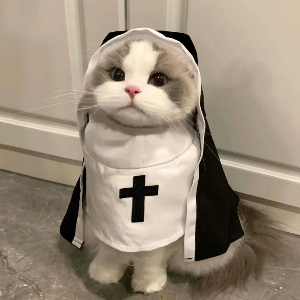Black and white nun cloak costume on a small dog for Halloween.