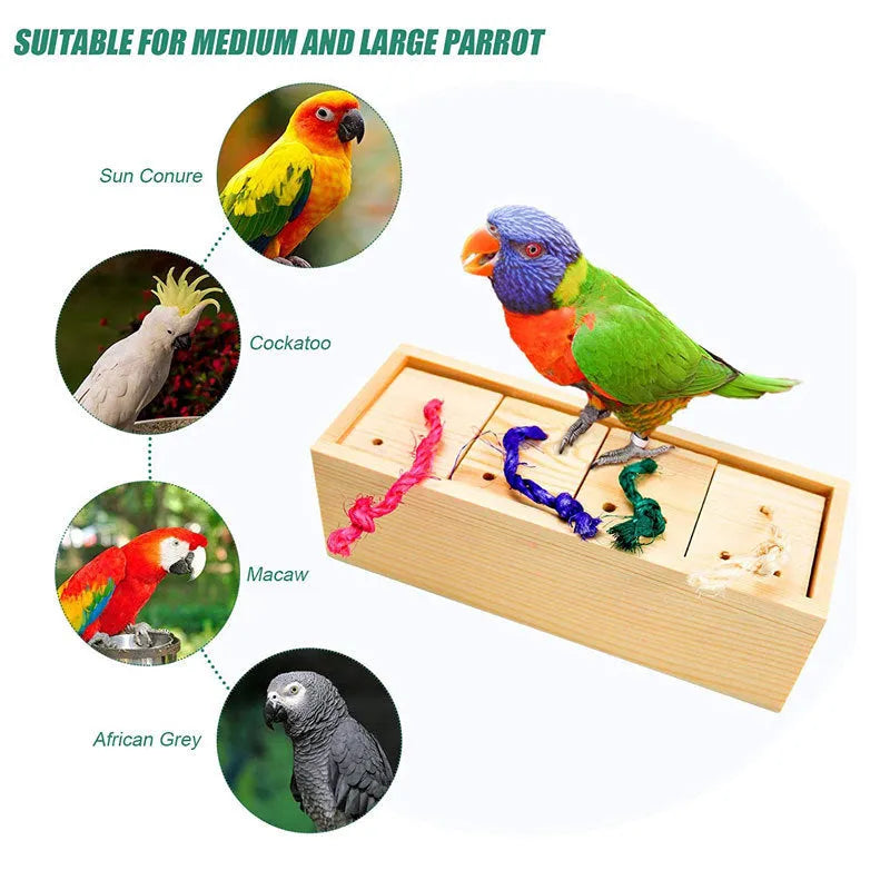 Wooden parrot puzzle training toy set shown in 3-piece, 6-piece, and 8-piece suit options for bird enrichment.