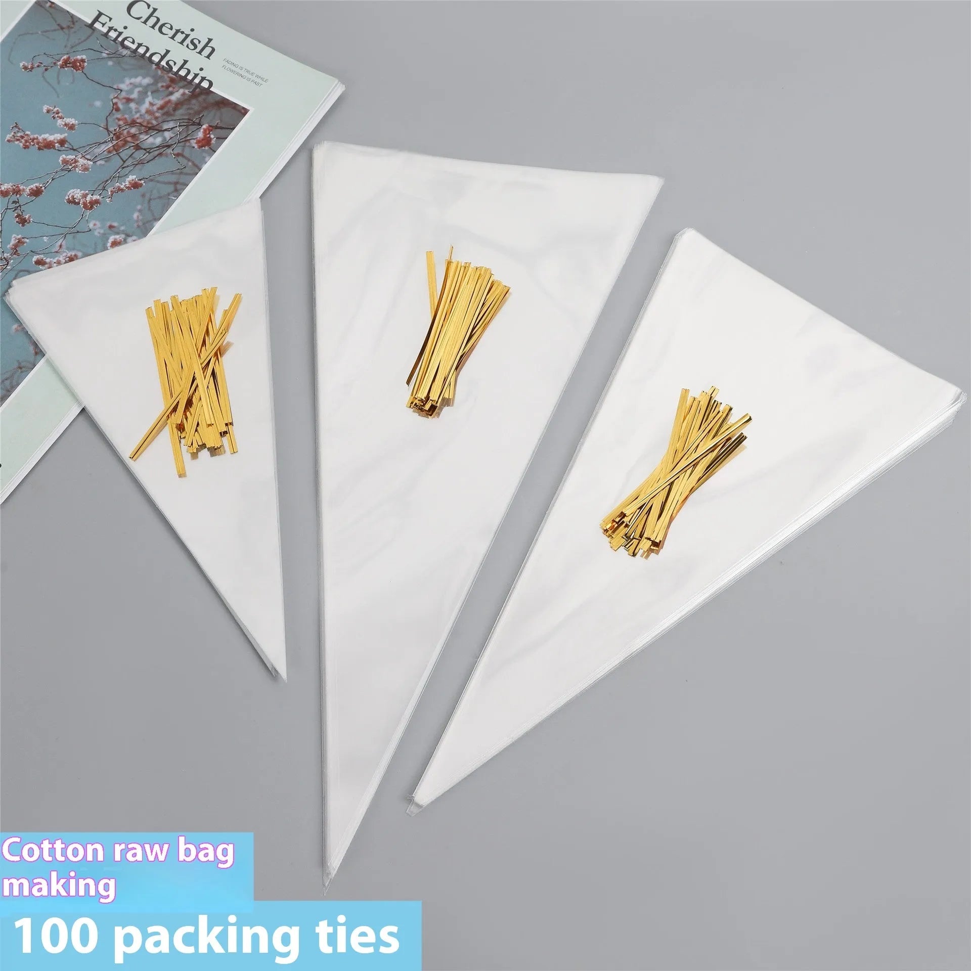 Clear triangle plastic packaging bag with a twisted wire tie closure on a white background.