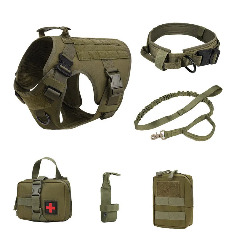Dog wearing adjustable polyester training battle vest with matching accessories