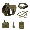 Dog wearing adjustable polyester training battle vest with matching accessories