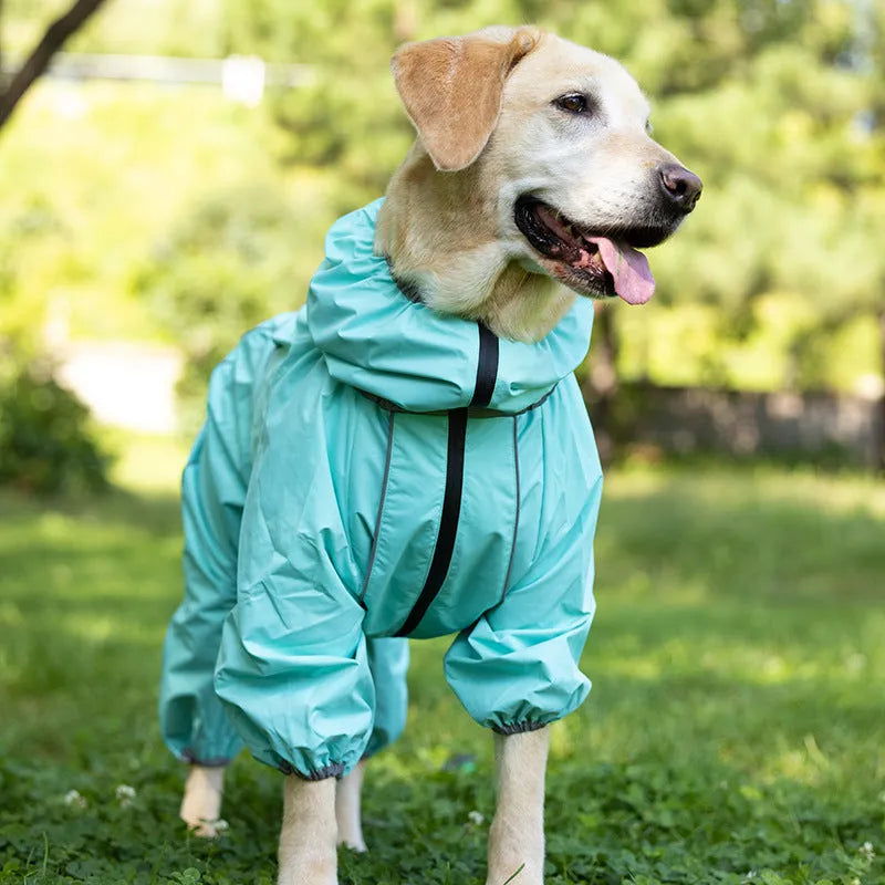 Cotton-padded dog shell jacket in four colours: red, black, light blue, and grey, shown on a model dog