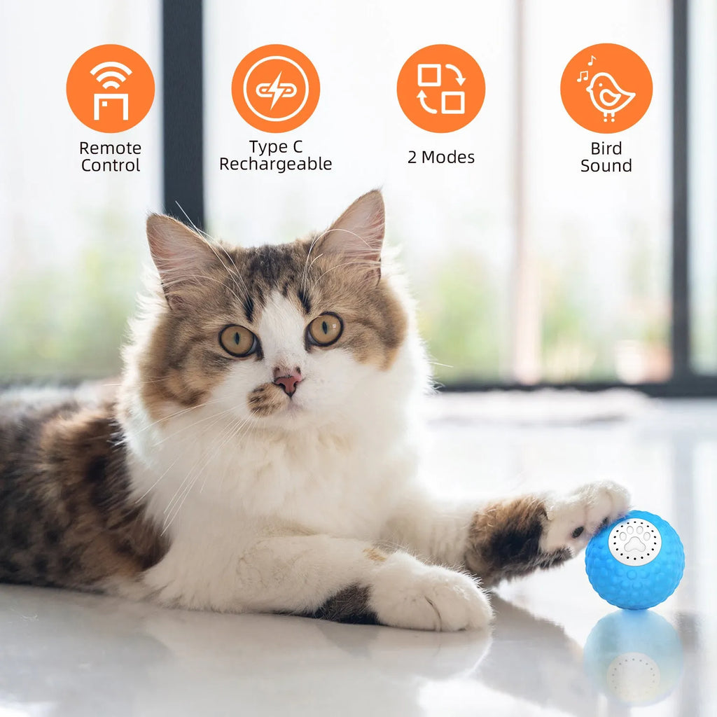 Remote control cat toy with rolling ball in blue, green and yellow colour options