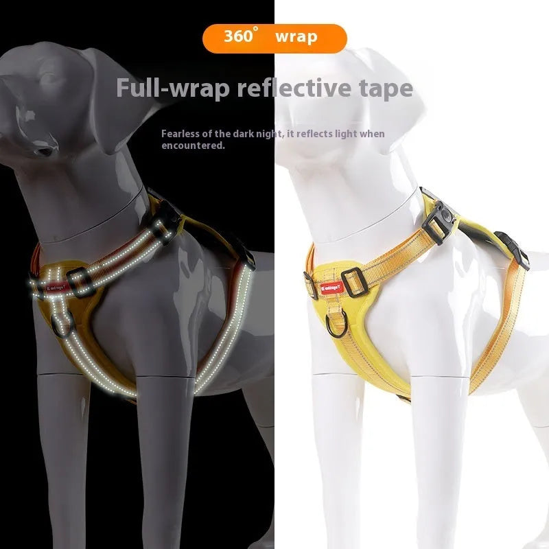 Adjustable polyester dog harness and lead in various colours with reflective trim, shown on size chart.