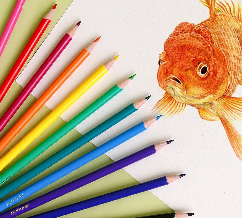 24 colour wooden pencil set with HB cores in cartoon paper packaging for art training
