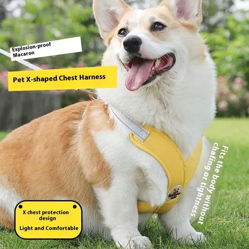 A blue polyester dog vest with an attached hand-holding rope for walking control.