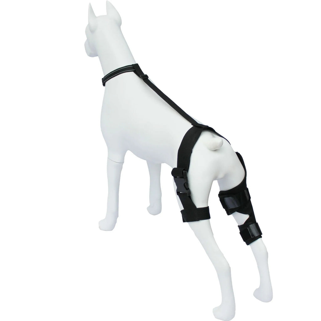 Dog hind leg knee brace assist strap in neoprene fabric showing adjustable design