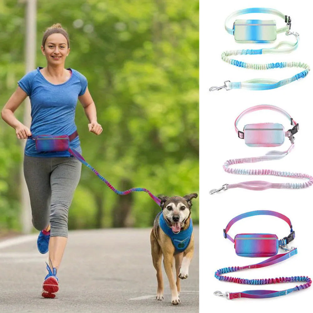Adjustable hands-free dog leash with waist belt in blue green pink red colours for walking and running