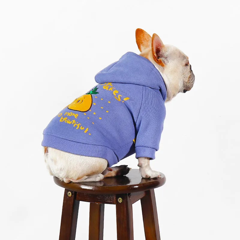 Blue and purple cartoon print cotton plush dog hoodie for winter wear.