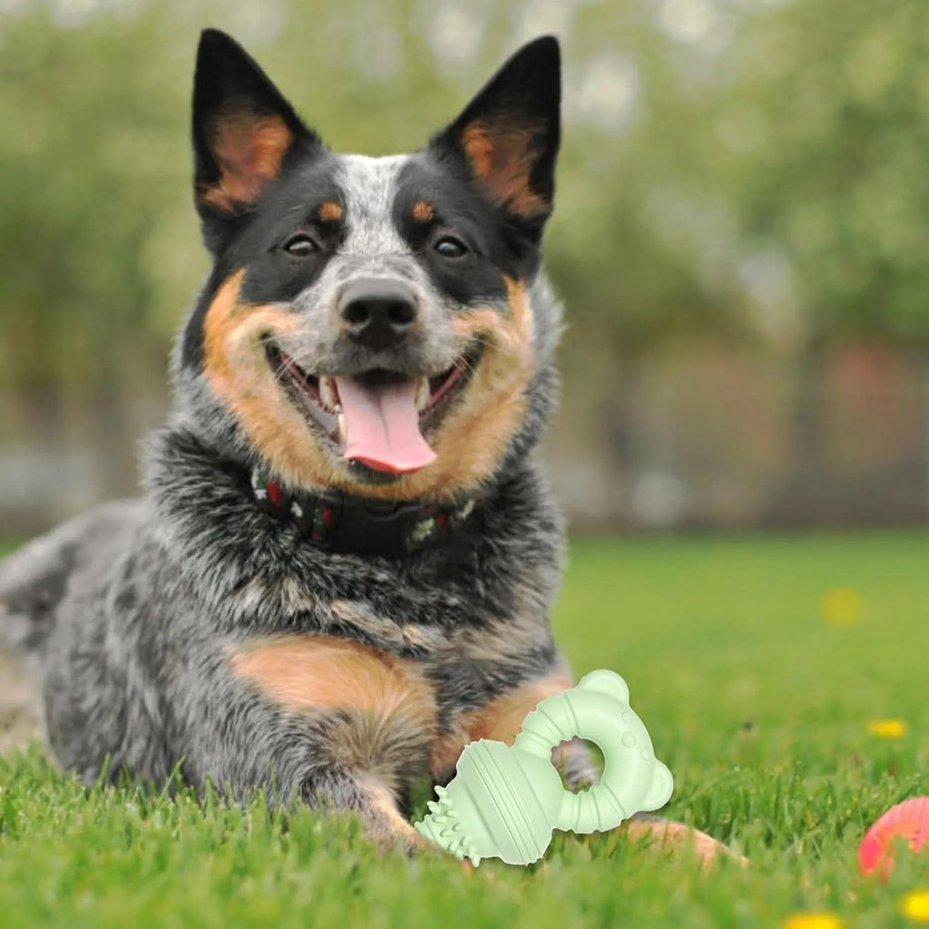 Blue rubber dog chew toy with textured surface for teeth cleaning, 13.5cm long