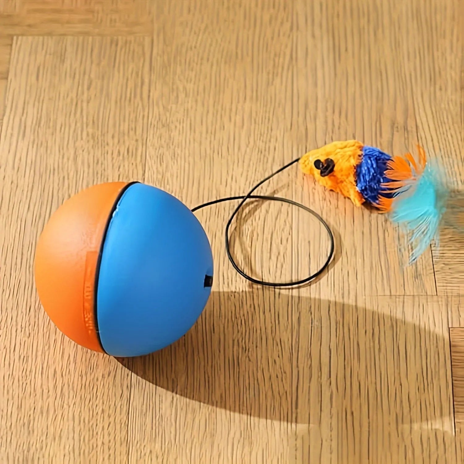 Orange and blue interactive motorised cat toy ball with a plush mouse inside, showing its compact size.