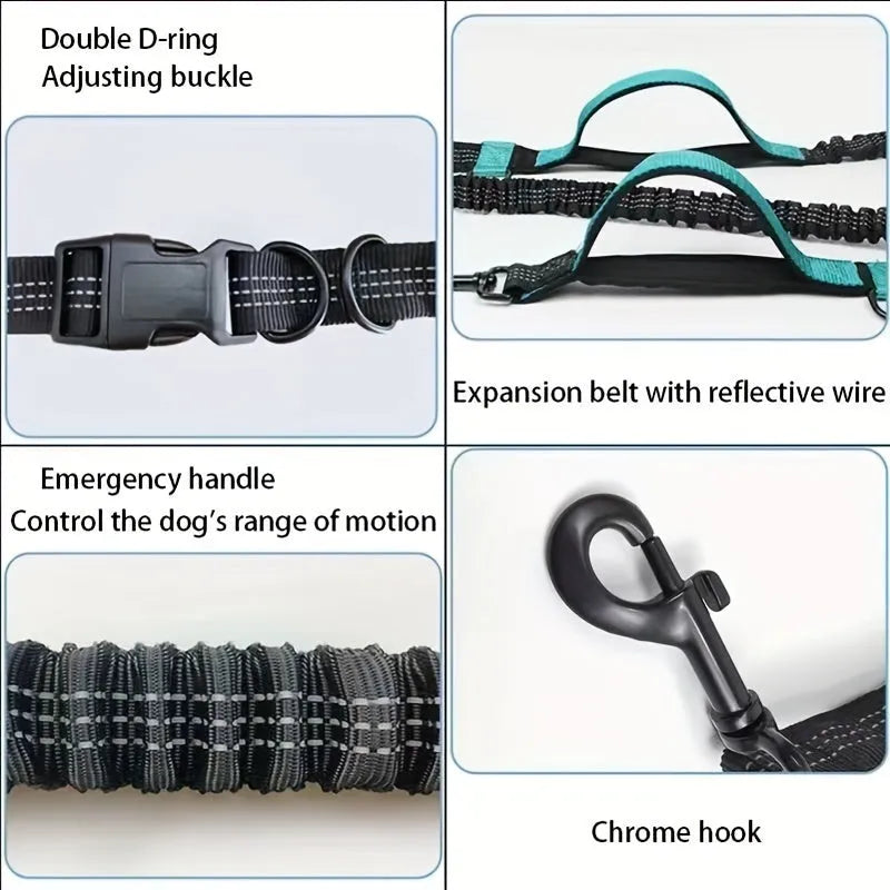 Hands-free dog leash with adjustable waist belt in durable nylon material for running and walking with dogs