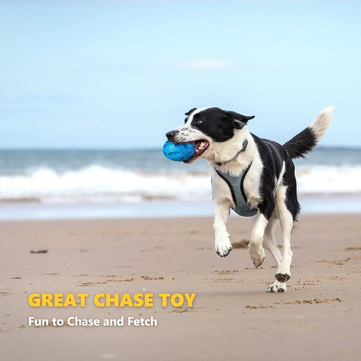 Natural rubber squeaky dog chew toy in blue, green and orange colours for medium and large breed dogs