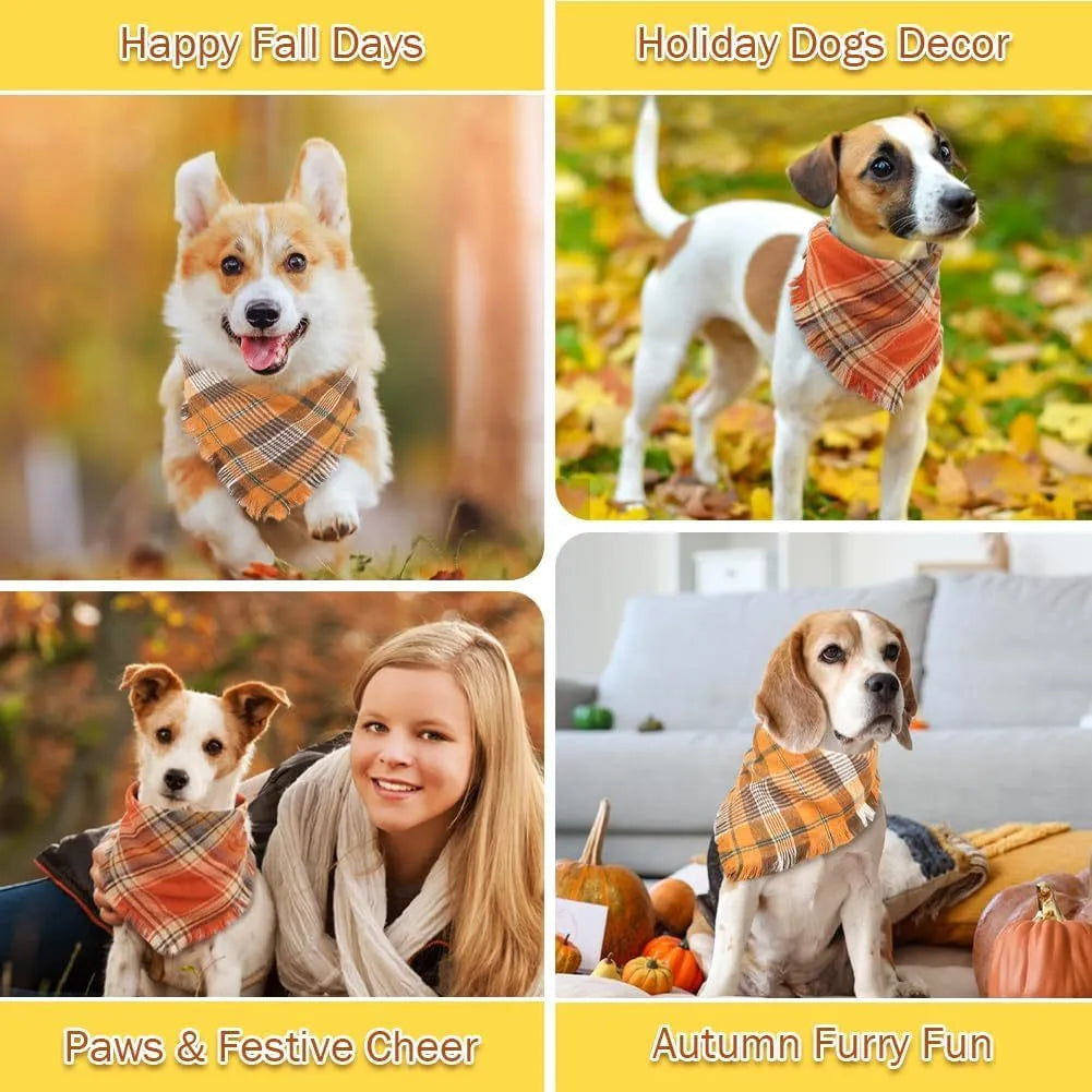 Plaid pattern dog bandana with tassels in autumn colours on pet collar