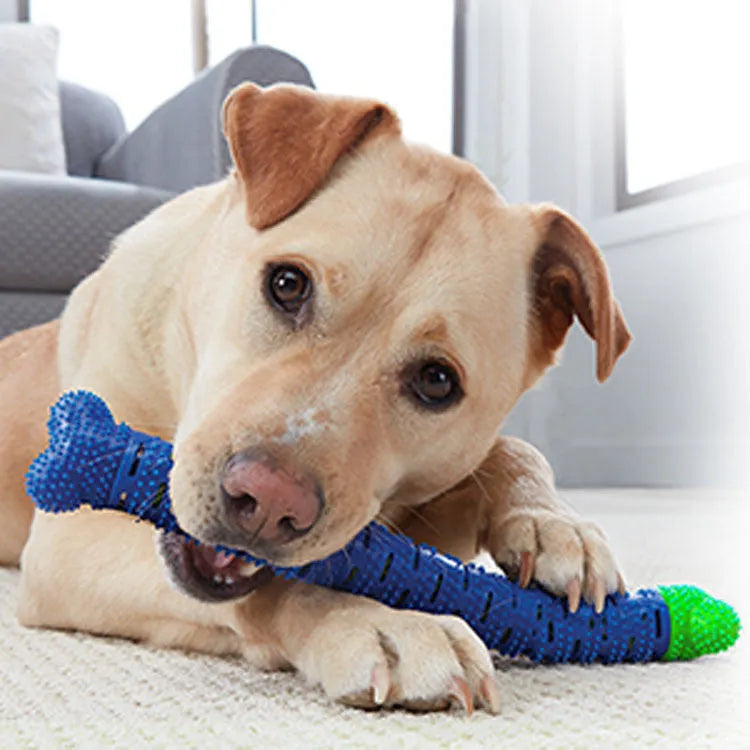 Blue green silicone dog dental cleaning stick with brush bristles and massage nodules, 25cm long