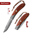 VG10 stainless steel folding portable knife in blue or red handmade national style