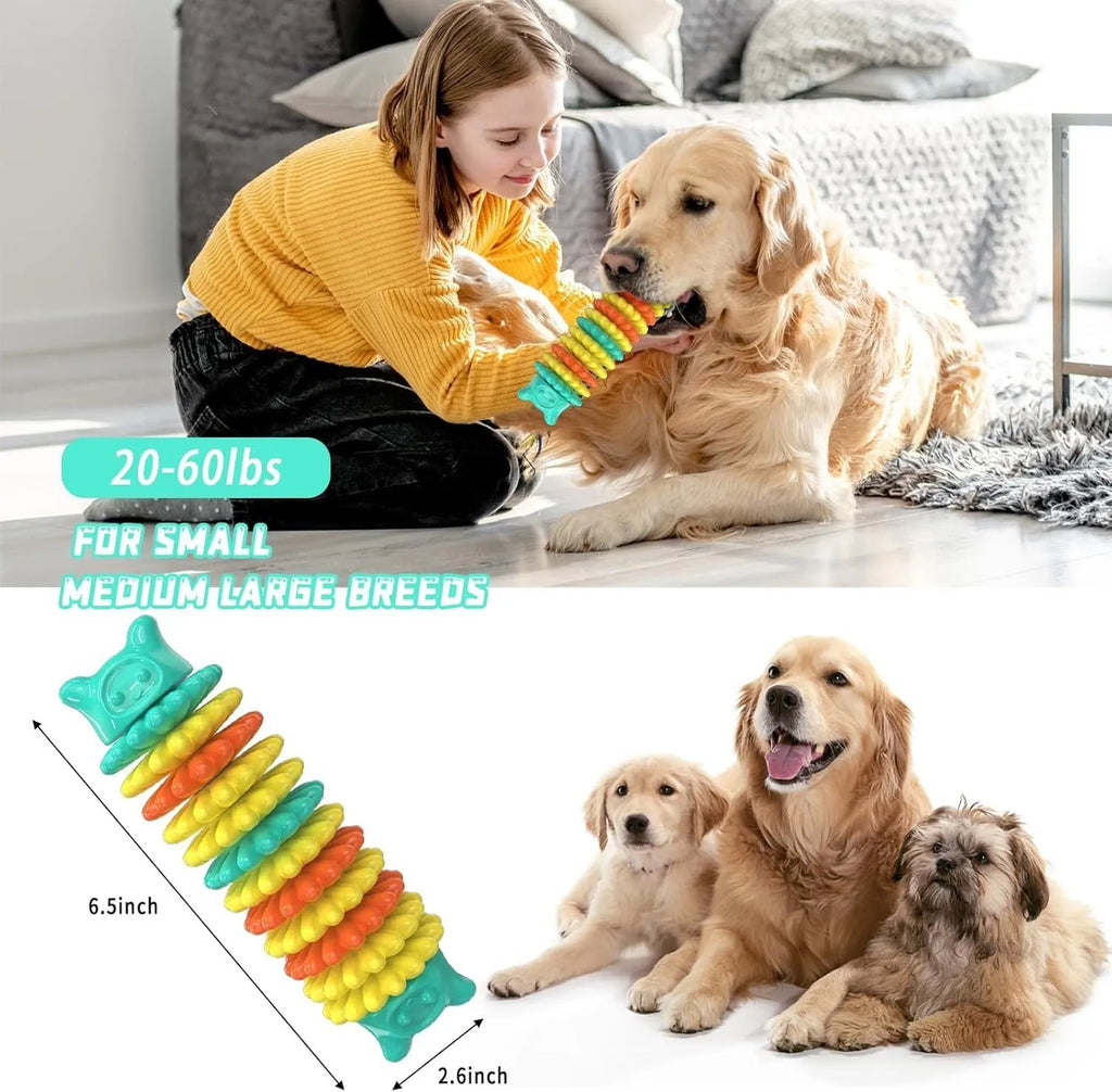 Blue natural rubber caterpillar-shaped dog chew toy showing textured surface and size.