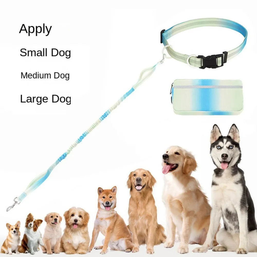 Adjustable hands-free dog leash with waist belt in blue green pink red colours for walking and running