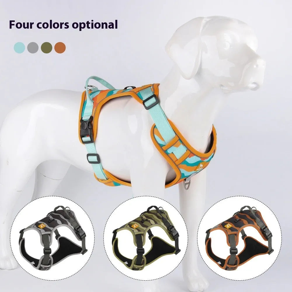 Reflective orange dog walking rope with chest and back harness held in hand