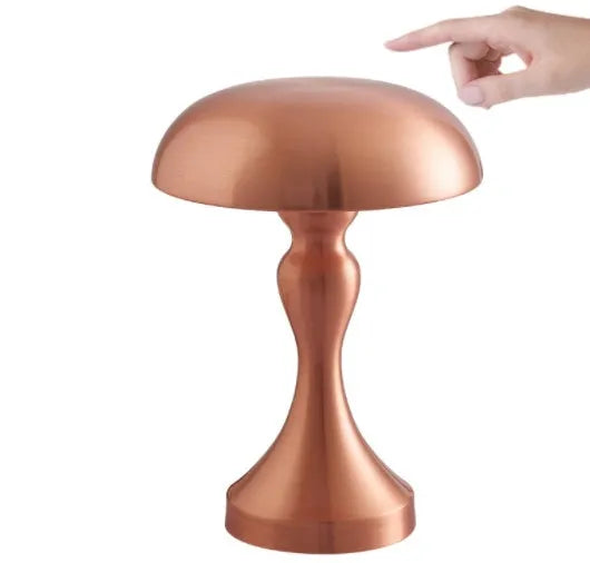 Metallic USB rechargeable desk lamp with touch control for white, warm and natural light