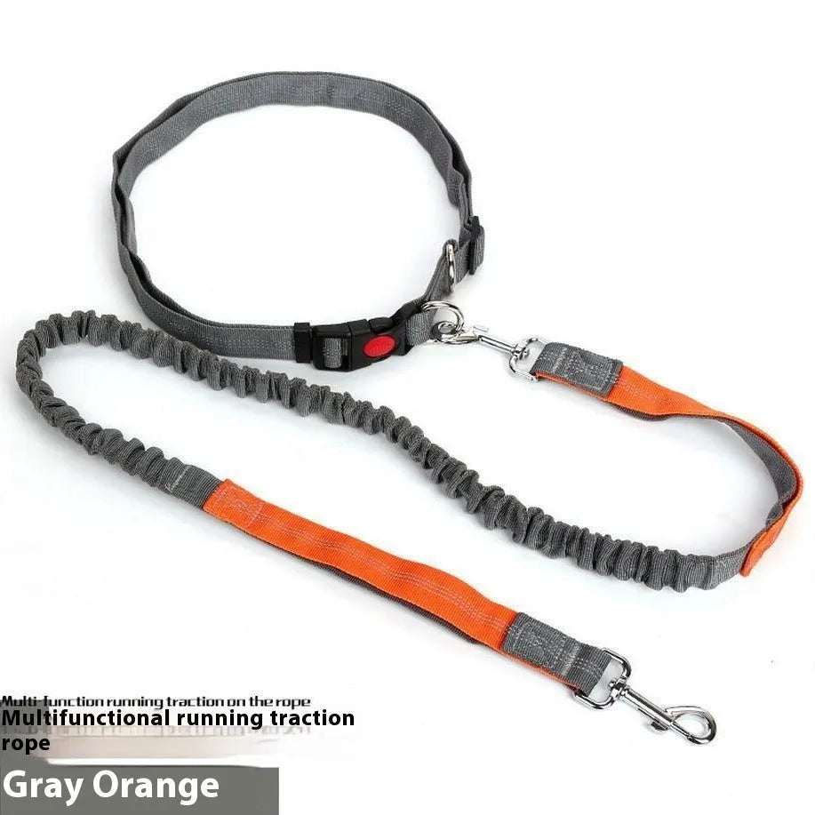 Grey and green reflective elastic dog leash with clip, shown coiled on a table.