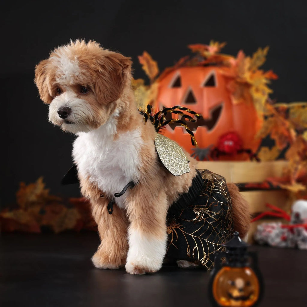 A dog wearing a polyester Halloween costume suit in a suit style.