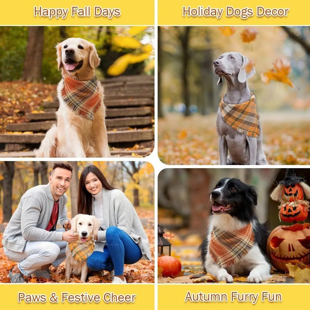 Plaid pattern dog bandana with tassels in autumn colours on pet collar