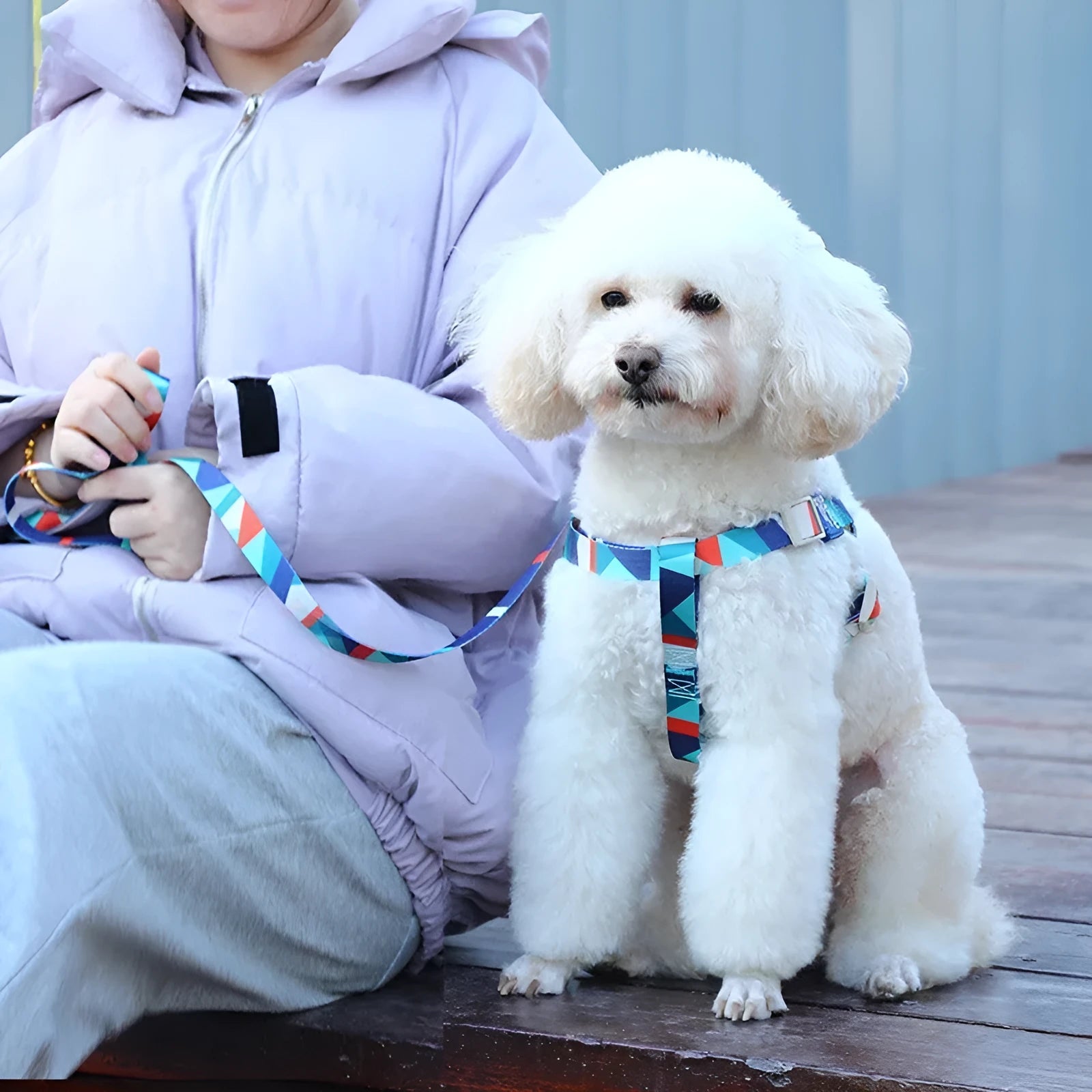 Blue polyester dog harness vest with attached haulage rope set on a white background.