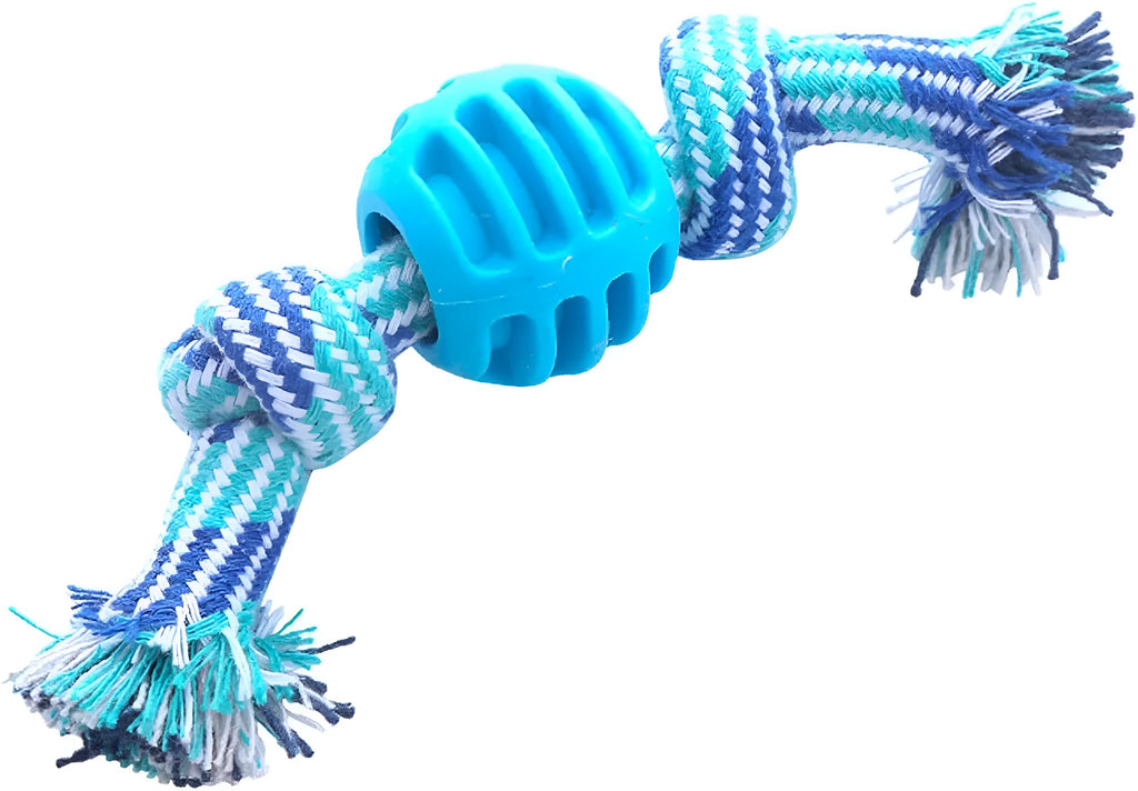 Blue dog molar chew toy with white cotton rope ends for dental cleaning and interactive play