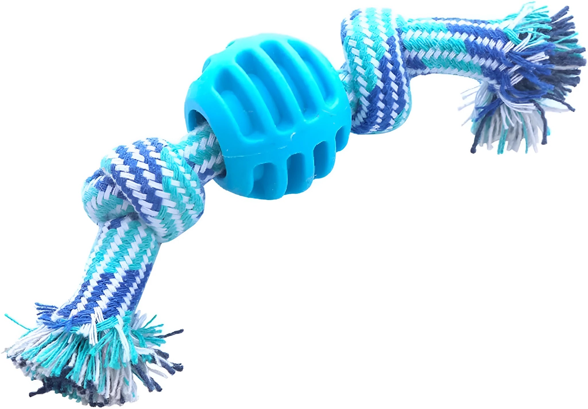 Blue dog molar chew toy with white cotton rope ends for dental cleaning and interactive play