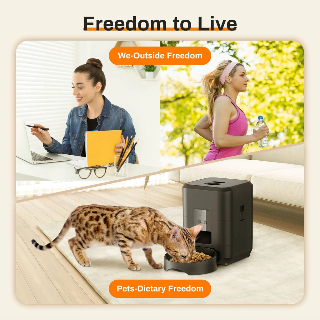 Automatic pet feeder with WiFi connectivity and video monitoring for cats with UK power adapter