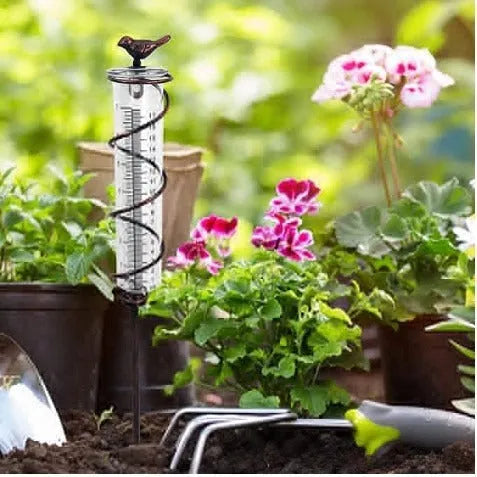 Cast iron outdoor rain gauge with hummingbird decoration and glass measurement tube showing 0-800ml scale.