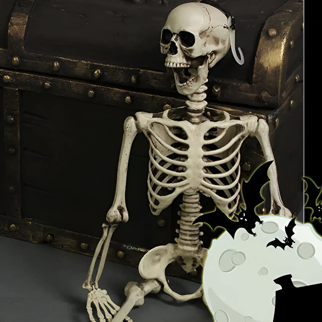 Life-size 170cm plastic skeleton prop with detailed skull and anatomical features