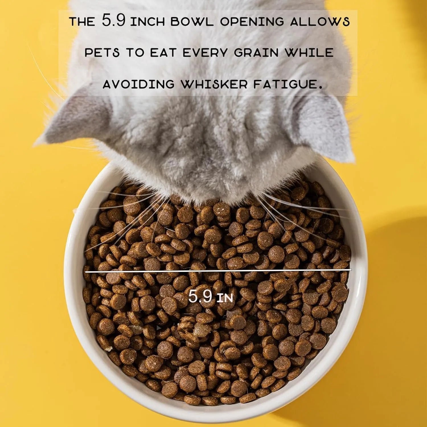 White ceramic raised cat bowl with a bear design, showing its elevated stand and wide feeding dish.