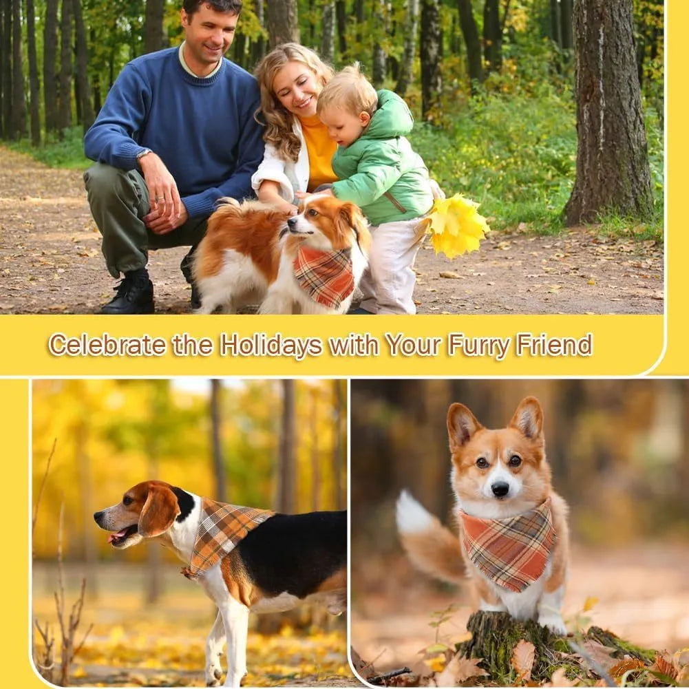 Plaid pattern dog bandana with tassels in autumn colours on pet collar