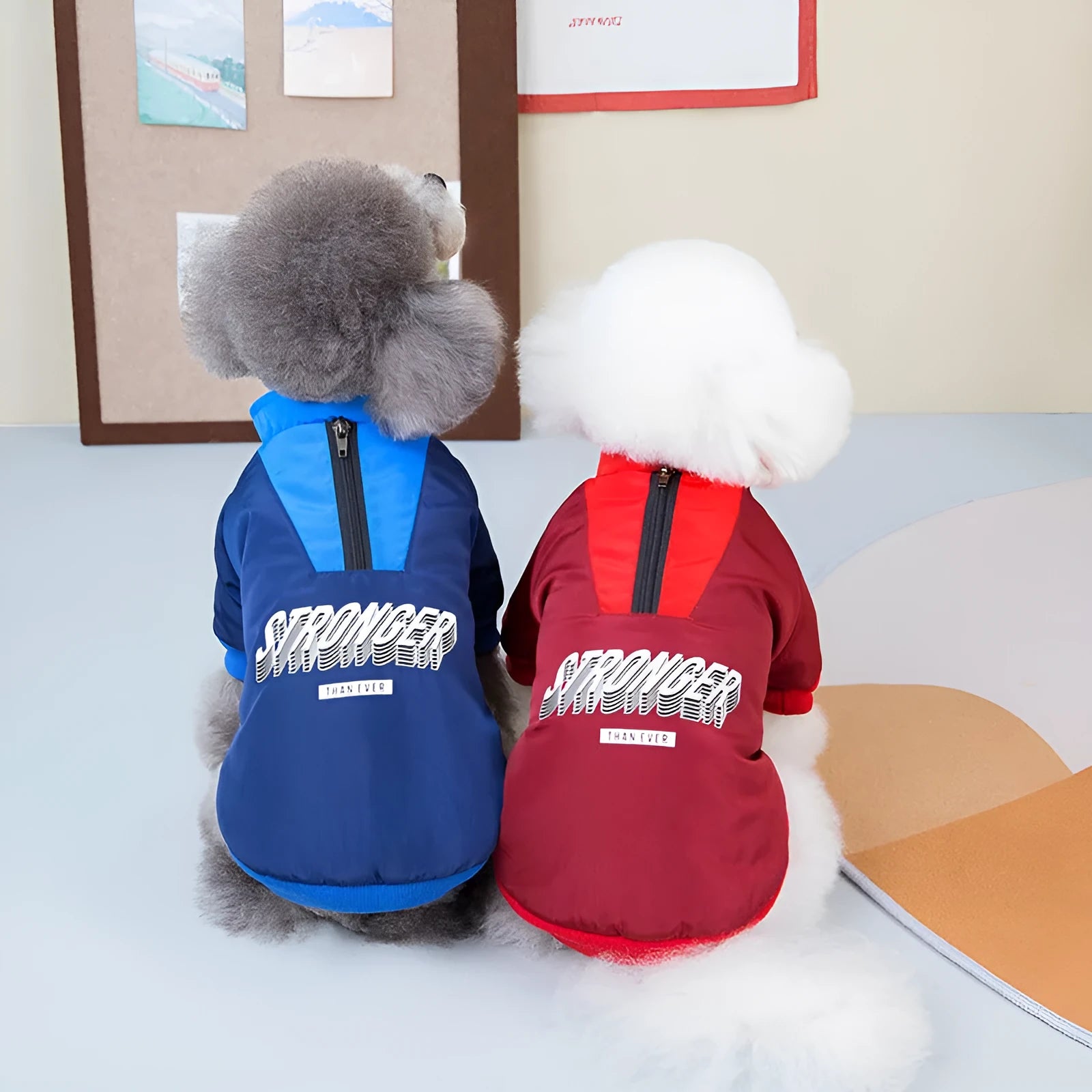 Red V-shaped splicing cotton coat for a dog, showing casual style and thick construction.