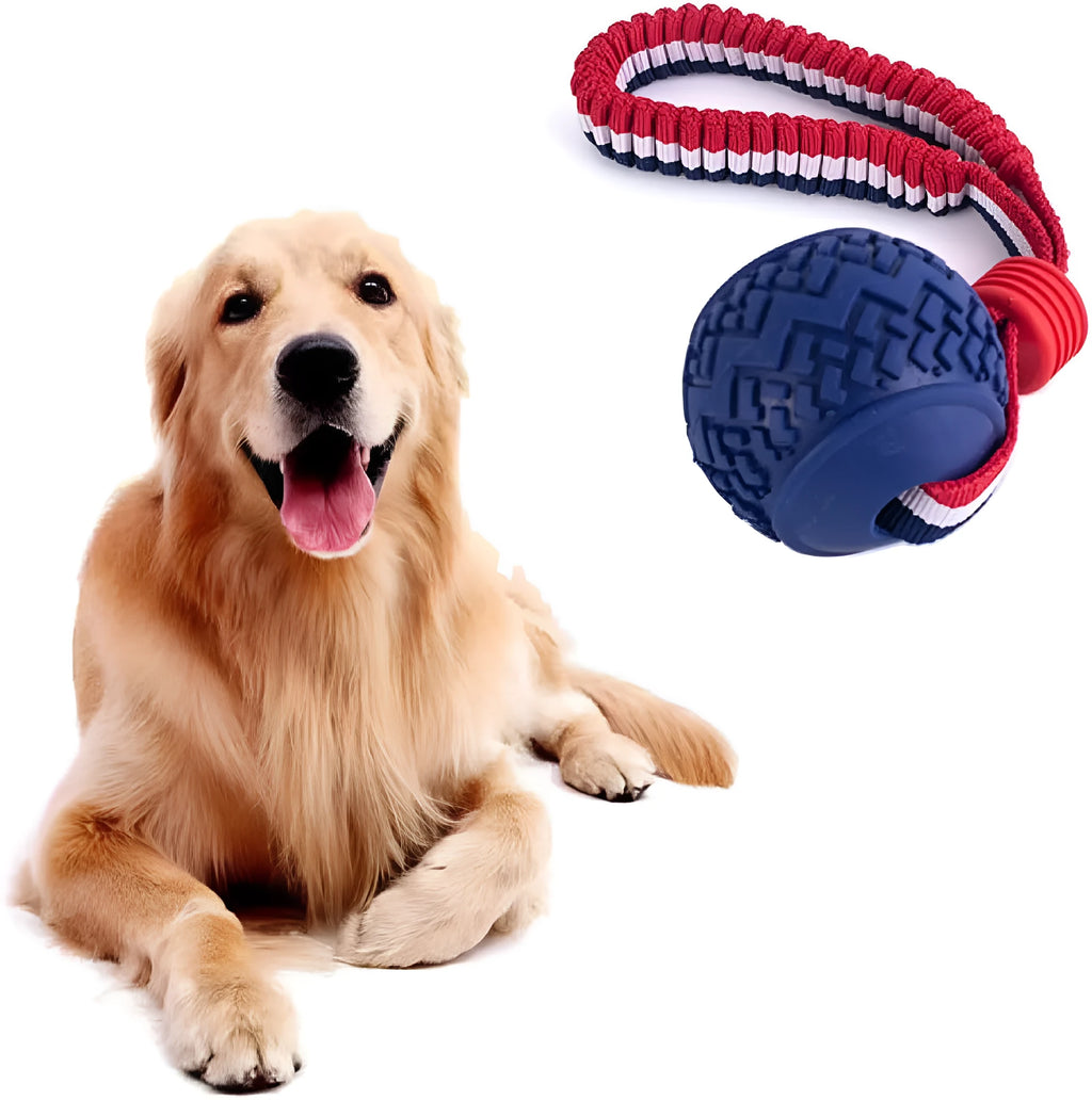 Blue dog ball with rope toy for tug-of-war and teeth cleaning, shown next to a red one.