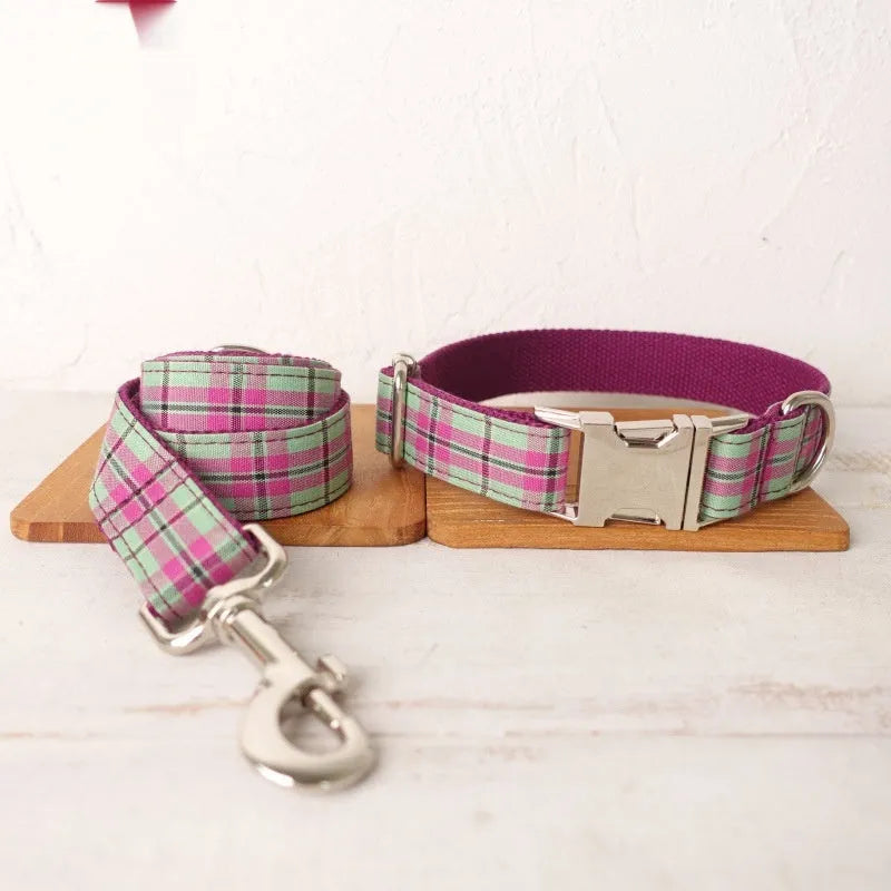 Mint green polyester dog collar and leash set with traction belt