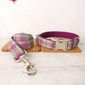 Mint green polyester dog collar and leash set with traction belt