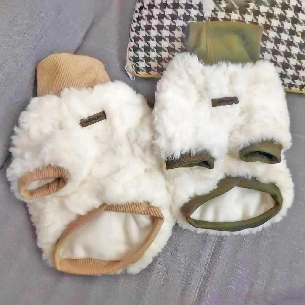 Creamy green plush dog coat with high turtleneck collar on a small dog.