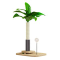 A vertical, canna-coloured wooden cat scratching post with a chamfered column design on a simple base.